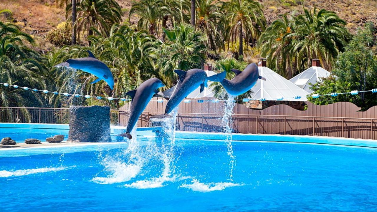 El Nido De Los Angeles Leilighet Playa del Inglés Eksteriør bilde